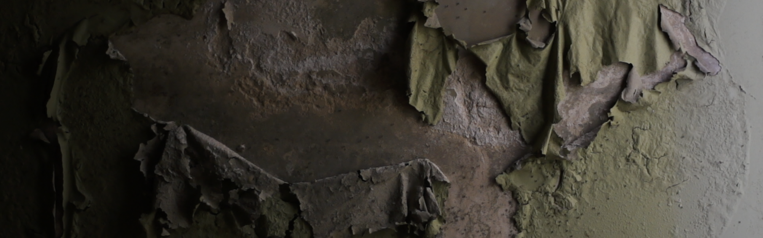 Fernando José Pereira